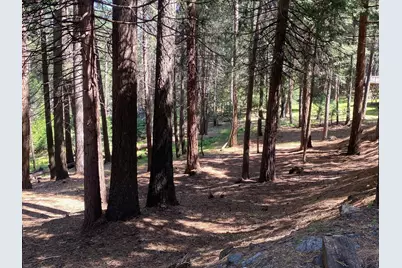 5741 Lupin Lane, Pollock Pines, CA 95726 - Photo 5
