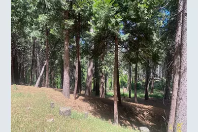 5741 Lupin Lane, Pollock Pines, CA 95726 - Photo 15
