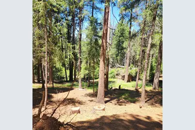 5741 Lupin Lane, Pollock Pines, CA 95726 - Photo 1