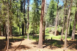 5741 Lupin Ln, Pollock Pines, CA 95726 - Photo 1