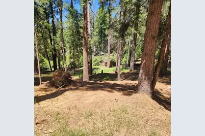 5741 Lupin Lane, Pollock Pines, CA 95726 - Photo 3