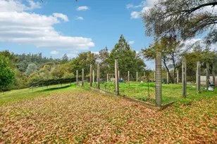7650 Buzzards Gulch Rd, Somerset, CA 95684 - Photo 35