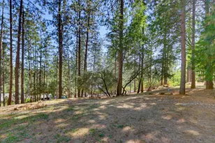 11126 Norager Way, Grass Valley, CA 95949 - Photo 69