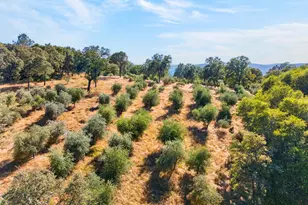 4000 Twin Rdgs Rd, Placerville, CA 95667 - Photo 97