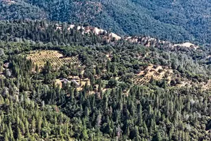 4000 Twin Rdgs Rd, Placerville, CA 95667 - Photo 69