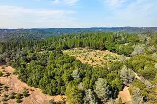 4000 Twin Rdgs Rd, Placerville, CA 95667 - Photo 89