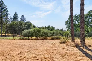 4000 Twin Rdgs Rd, Placerville, CA 95667 - Photo 51