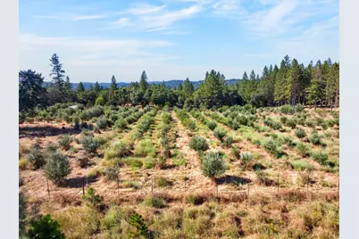 4000 Twin Ridges Road, Placerville, CA 95667 - Photo 91