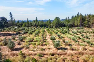 4000 Twin Rdgs Rd, Placerville, CA 95667 - Photo 91