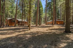 19775 Forest View Cir, Pioneer, CA 95666 - Photo 73