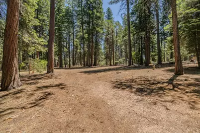 19775 Forest View Circle, Pioneer, CA 95666 - Photo 71