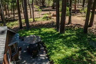 19775 Forest View Cir, Pioneer, CA 95666 - Photo 79