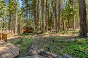 19775 Forest View Cir, Pioneer, CA 95666 - Photo 61