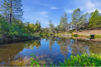 22233 McCourtney Road, Grass Valley, CA 95949 - Photo 45