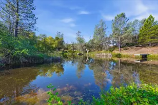 22233 McCourtney Rd, Grass Valley, CA 95949 - Photo 45