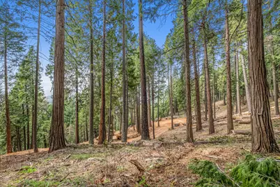 301 Camelot Way, Pollock Pines, CA 95726 - Photo 19