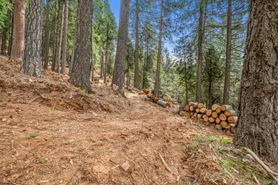 301 Camelot Way, Pollock Pines, CA 95726 - Photo 31