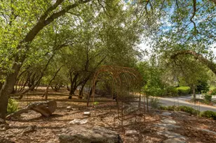 292 Marybelle Way, Angels Camp, CA 95222 - Photo 39