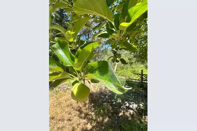 16216 Duggans Road, Grass Valley, CA 95949 - Photo 23