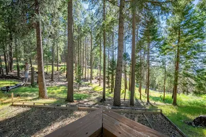 5014 Mount Pleasant Drive, Grizzly Flats, CA 95636 - Photo 49