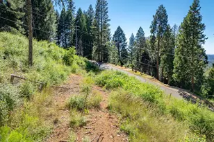 5014 Mt Pleasant Dr, Grizzly Flats, CA 95636 - Photo 67