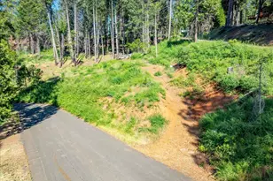 5014 Mt Pleasant Dr, Grizzly Flats, CA 95636 - Photo 69