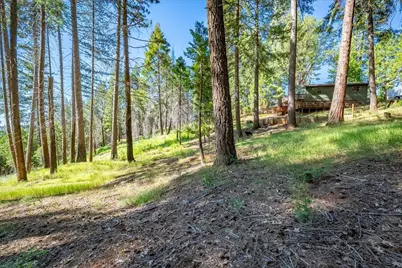 5014 Mount Pleasant Drive, Grizzly Flats, CA 95636 - Photo 51