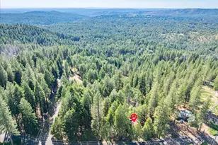 5014 Mt Pleasant Dr, Grizzly Flats, CA 95636 - Photo 57