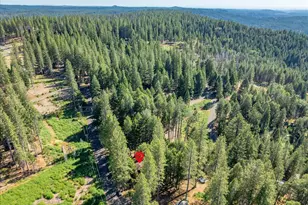 5014 Mt Pleasant Dr, Grizzly Flats, CA 95636 - Photo 65