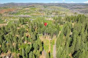 5014 Mt Pleasant Dr, Grizzly Flats, CA 95636 - Photo 61