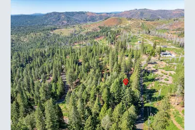 5014 Mount Pleasant Drive, Grizzly Flats, CA 95636 - Photo 59