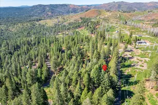 5014 Mt Pleasant Dr, Grizzly Flats, CA 95636 - Photo 59