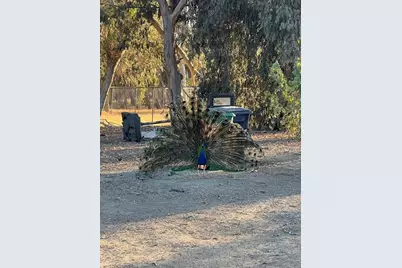 0 19920  West Grant Line Rd Road, Tracy, CA 95391 - Photo 5