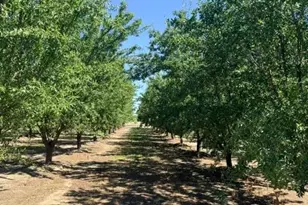 4331 Service Rd, Ceres, CA 95307 - Photo 11