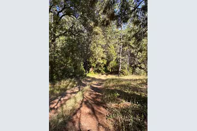 16492 Indiana Ranch Road, Dobbins, CA 95935 - Photo 1