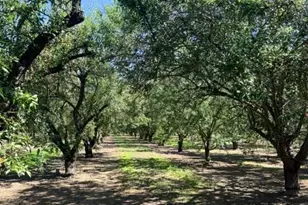 4800 Service Rd, Ceres, CA 95307 - Photo 7