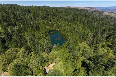 10075 White Fir Road, Georgetown, CA 95634 - Photo 35
