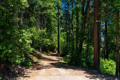 10075 White Fir Road, Georgetown, CA 95634 - Photo 19