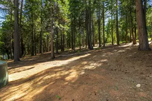 3070 Crystal Summit Rd, Pollock Pines, CA 95726 - Photo 55