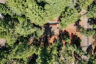 16875 Alpine Dr, Pioneer, CA 95666 - Photo 13