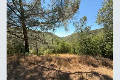 4441 Mountain Ranch Road, San Andreas, CA 95249 - Photo 29