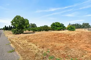 9554 Tavernor Rd, Wilton, CA 95693 - Photo 67
