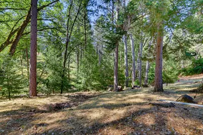 22005 Farrier Court, Foresthill, CA 95631 - Photo 63