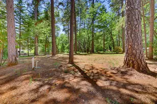11575 Shockley Rd, Grass Valley, CA 95945 - Photo 73
