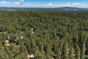 11575 Shockley Rd, Grass Valley, CA 95945 - Photo 87