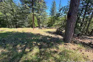 6396 Log Cabin Ln, Placerville, CA 95667 - Photo 27