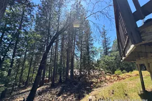 6396 Log Cabin Ln, Placerville, CA 95667 - Photo 29