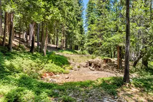 2594 Navajo, Dorrington, CA 95223 - Photo 43