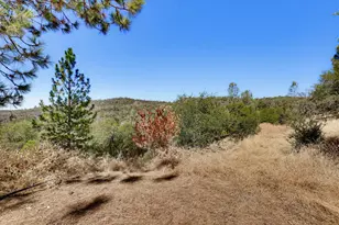 18368 Harmony Pl, Grass Valley, CA 95949 - Photo 95