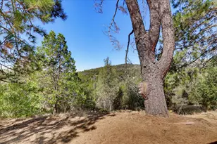 18368 Harmony Pl, Grass Valley, CA 95949 - Photo 93
